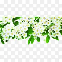 白色清新花朵花环