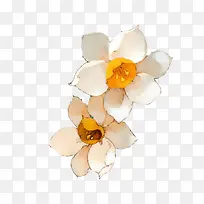 手绘白色花朵黄芯