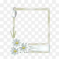 高清白色花朵相框装饰