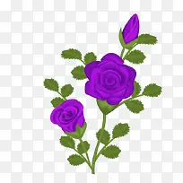 卡通紫色玫瑰花