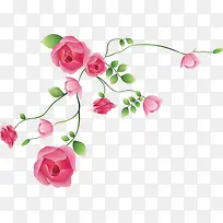 粉色玫瑰花手绘素材