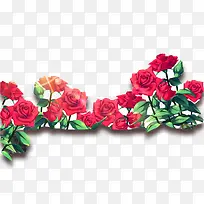 手绘玫瑰花