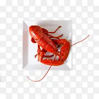 新鲜美味的大虾