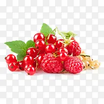 新鲜树莓水果