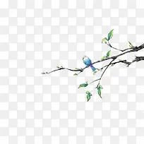 手绘停在枝头上的蓝鸟