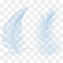 羽毛蓝色羽毛线条羽毛装饰