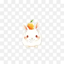 头顶橙子Q萌小兔子