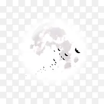 月亮蝙蝠