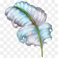 漂浮的羽毛