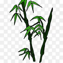 手绘竹子竹节设计
