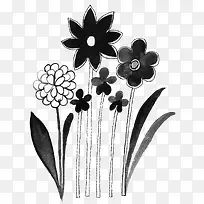 黑白花朵简笔画