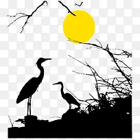 鸟和太阳