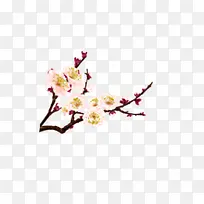 国画花朵古典装饰元素