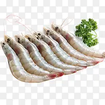 一排新鲜的虾