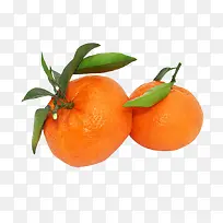 美味的橘子实物图