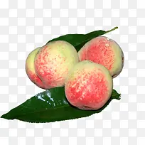 桃子水果