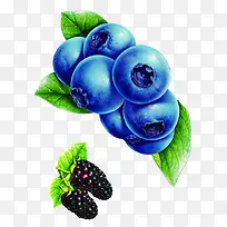 桑葚蓝莓