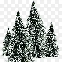 冬天雪树背景素材