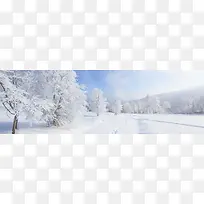 高清摄影白色的雪花世界树木