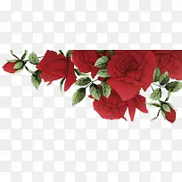 浪漫红玫瑰花边框