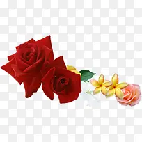 红色玫瑰花朵创意美景
