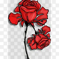 手绘红玫瑰