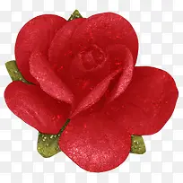 卡通红色玫瑰大红花