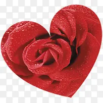 心形红玫瑰婚礼素材