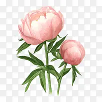手绘花卉牡丹大花包