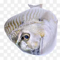 海鲜鳊鱼