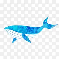 冒険鲸鱼蓝色鲸鱼