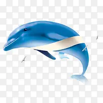 海豚