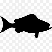 黑石斑鱼的侧视图图标