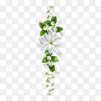 珍珠 绿叶 白花骨朵 花莲 png素材