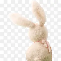 白色兔子玩偶中秋