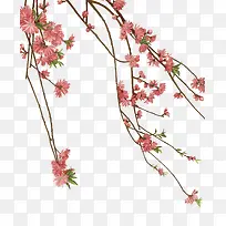 矢量花朵