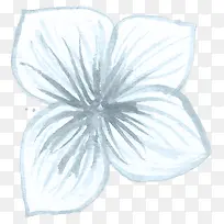简笔四瓣花