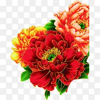 春节粉红色中国风牡丹