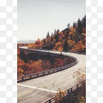 蓝天下的树林公路