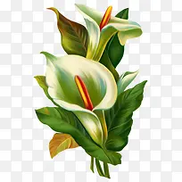 手绘花朵免抠