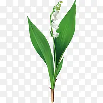 手绘花