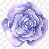 鲜花