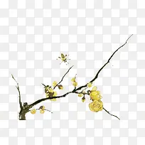 树枝上的黄色花朵手绘