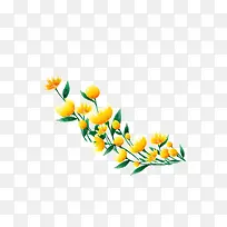 黄色的小花