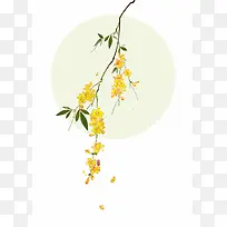 黄色花朵花卉高清月亮