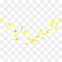 黄色梦幻花朵植物花瓣
