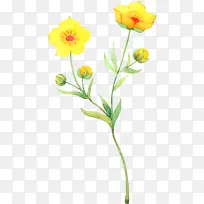 手绘黄色卡通花朵植物