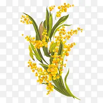 黄色小雏菊矢量元素