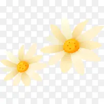 黄色春天纹理花朵