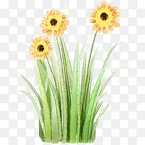 黄色卡通向日葵花朵植物